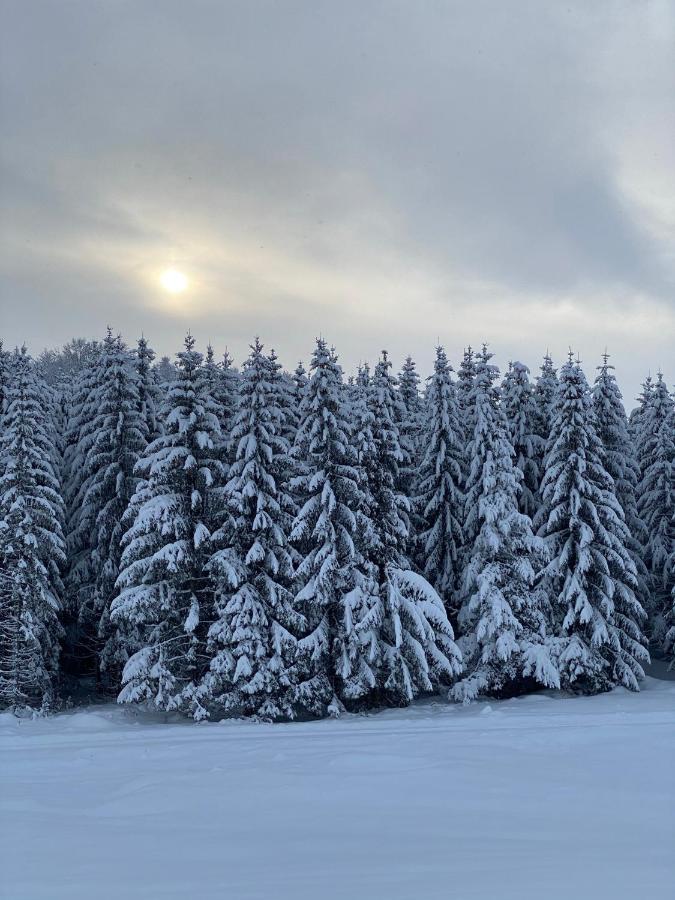 Vila Durmitorska Kuca Žabljak Exteriér fotografie